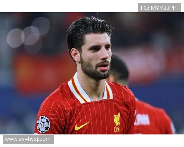 索博斯洛伊的魅力探秘与历史文化深度解析之旅